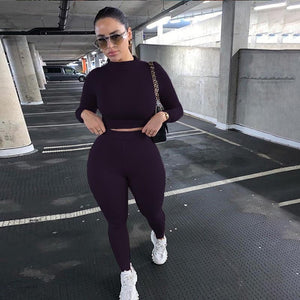 Two Piece Sets Women Solid Autumn Tracksuits High Waist Stretchy Sportswear Hot Crop Tops And Leggings Matching Outfits - FlorentClothingStore 