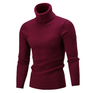 Casual Men Winter Solid Color Turtle Neck Long Sleeve Twist Knitted Slim - FlorentClothingStore 